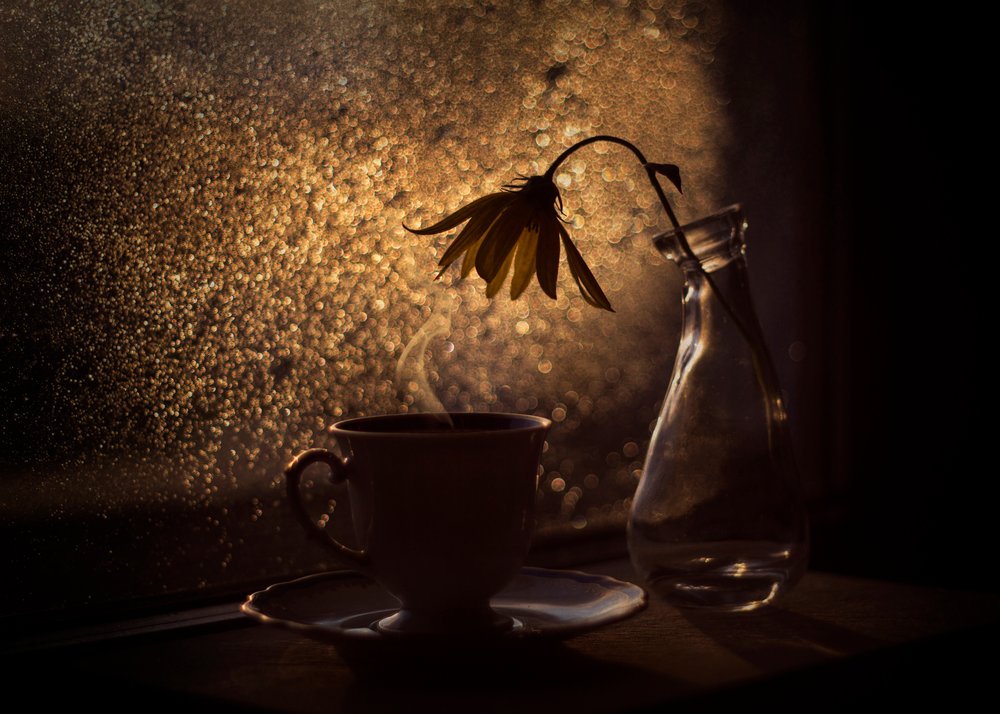 Golden Light Coffee Flower by Lenka
