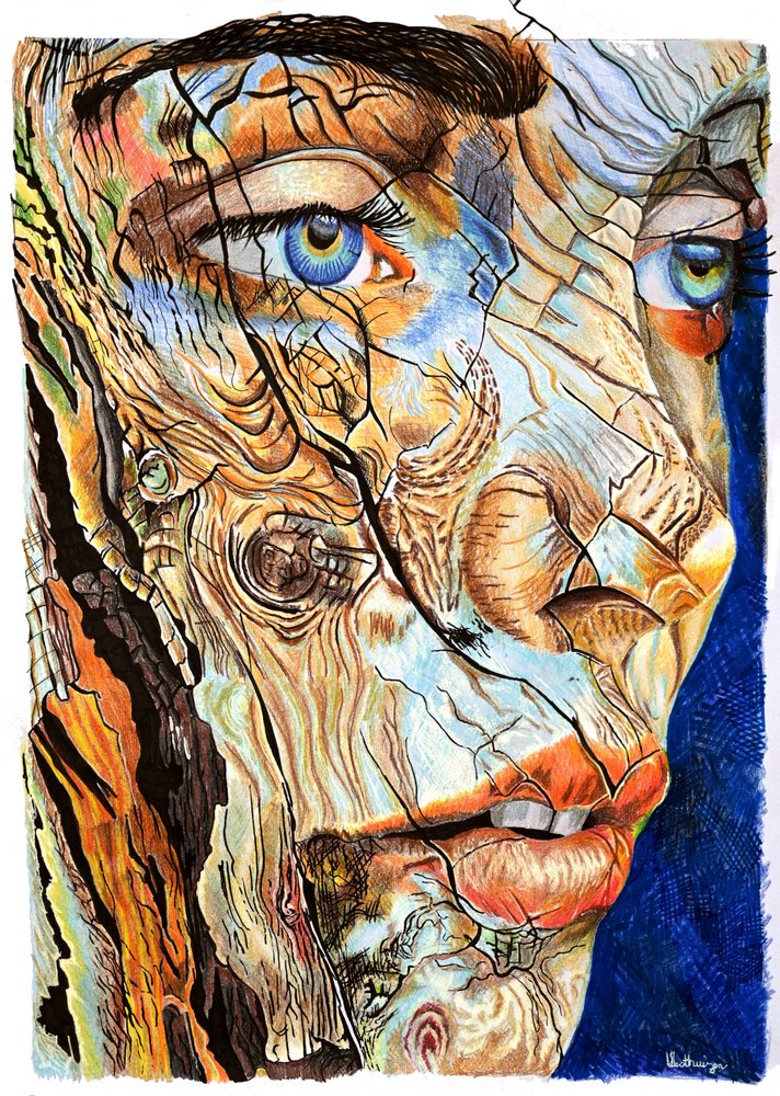 Cracked Wood Portrait by Loretta Van Der Westhuizen