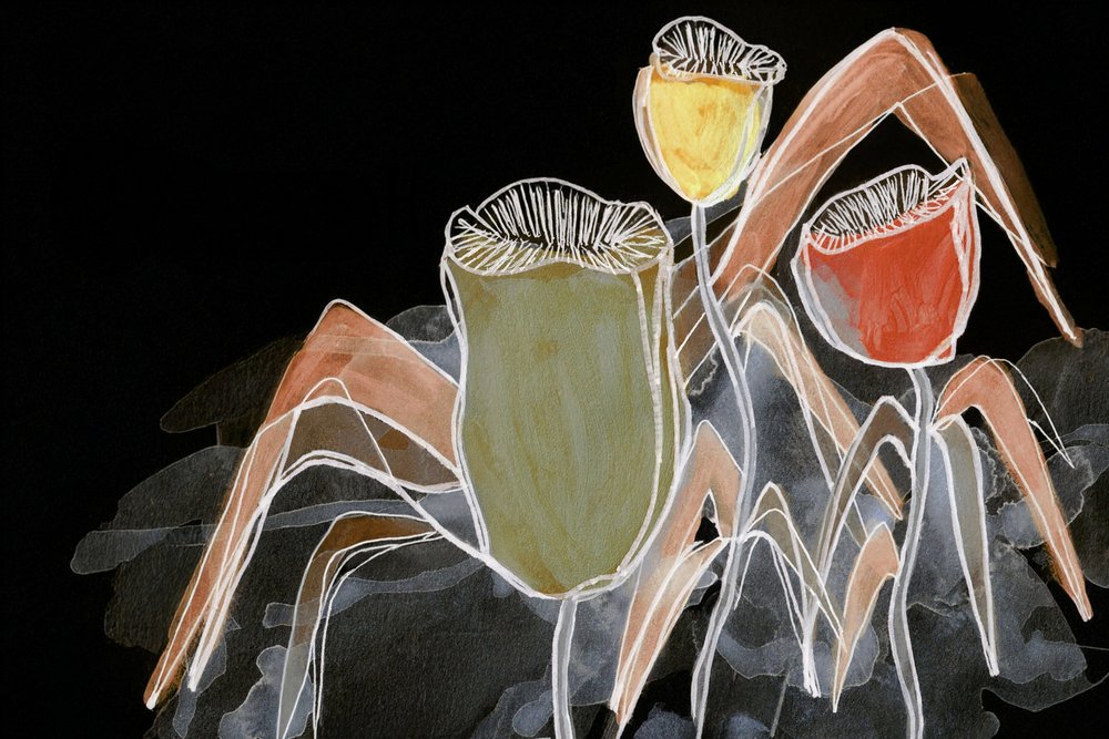 Dark Botanical Pods by Lori Ann Folz