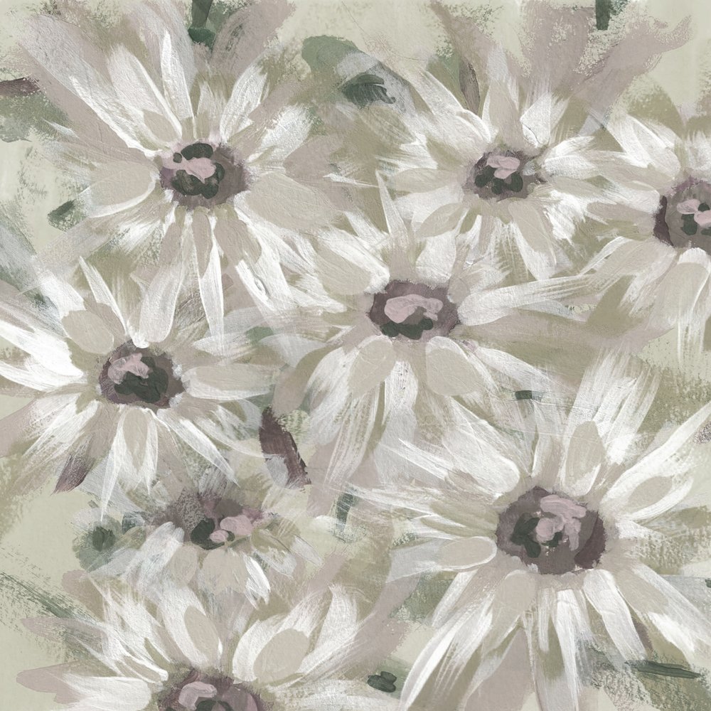 Soft Daisy Blooms by Lori Ann Folz