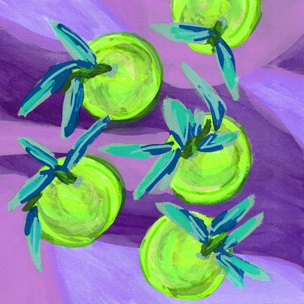 Vibrant Green Limes by Lori Ann Folz