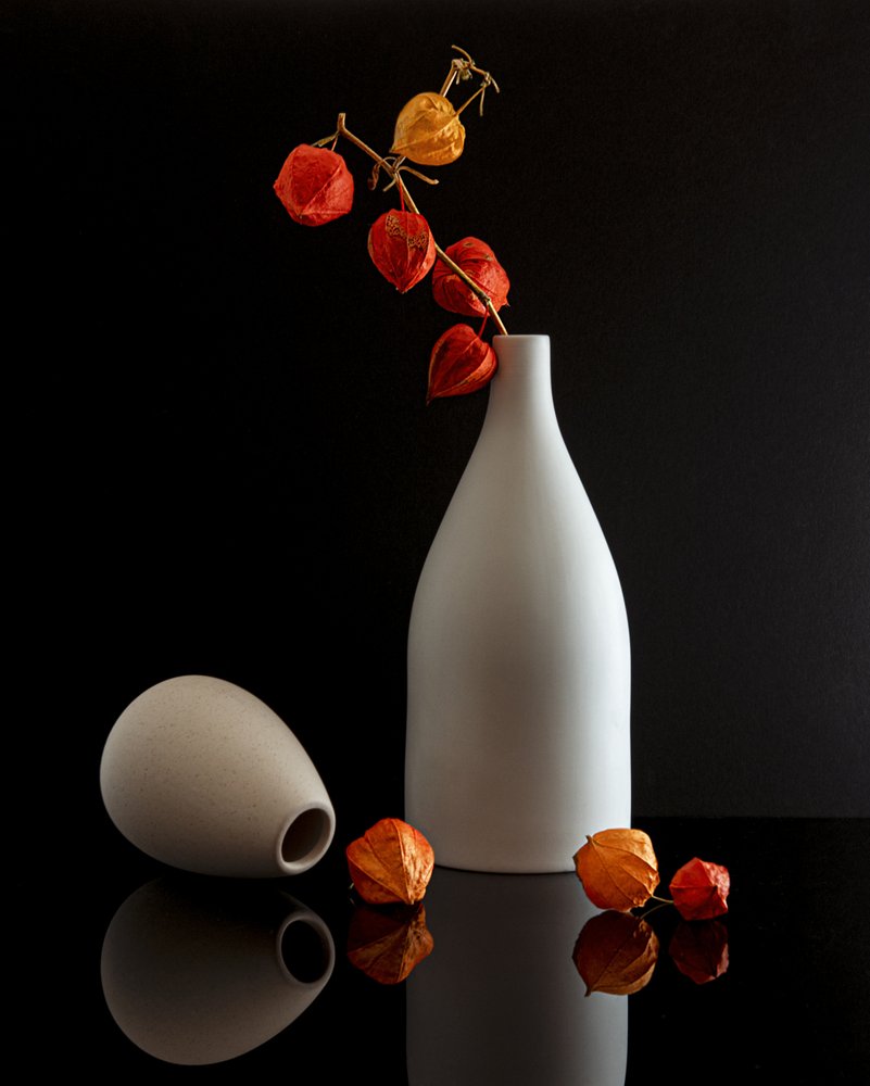 Modern Chinese Lantern Still Life by Louie Luo