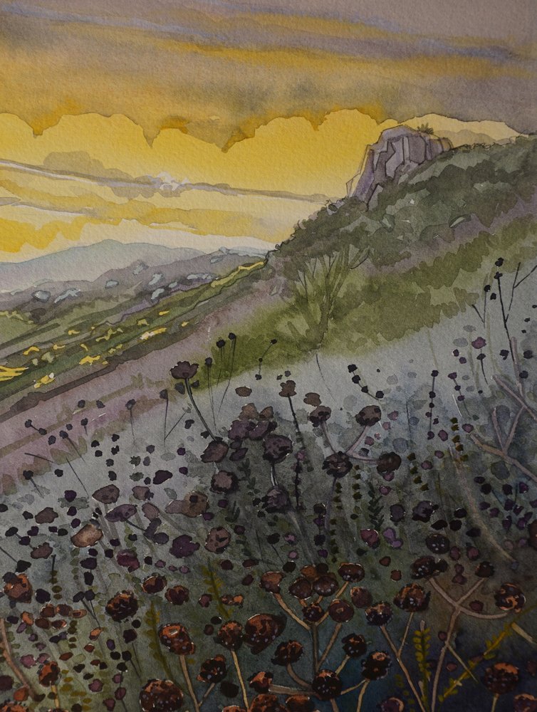 Golden Mountain Sunset by Luisa Millicent