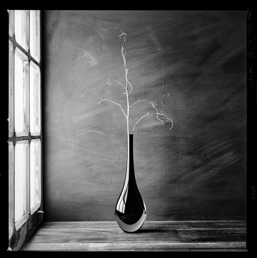 Minimalist Branch Vase by Luiz Laercio