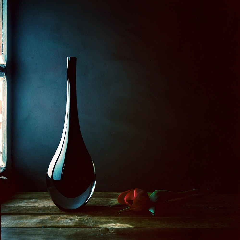 Sleek Vase Red Rose by Luiz Laercio