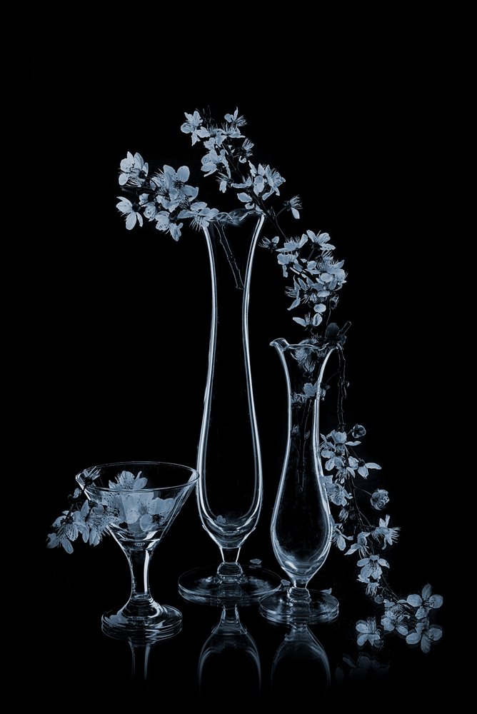 Blue Flowers in Glass Vases by Lydia Jacobs