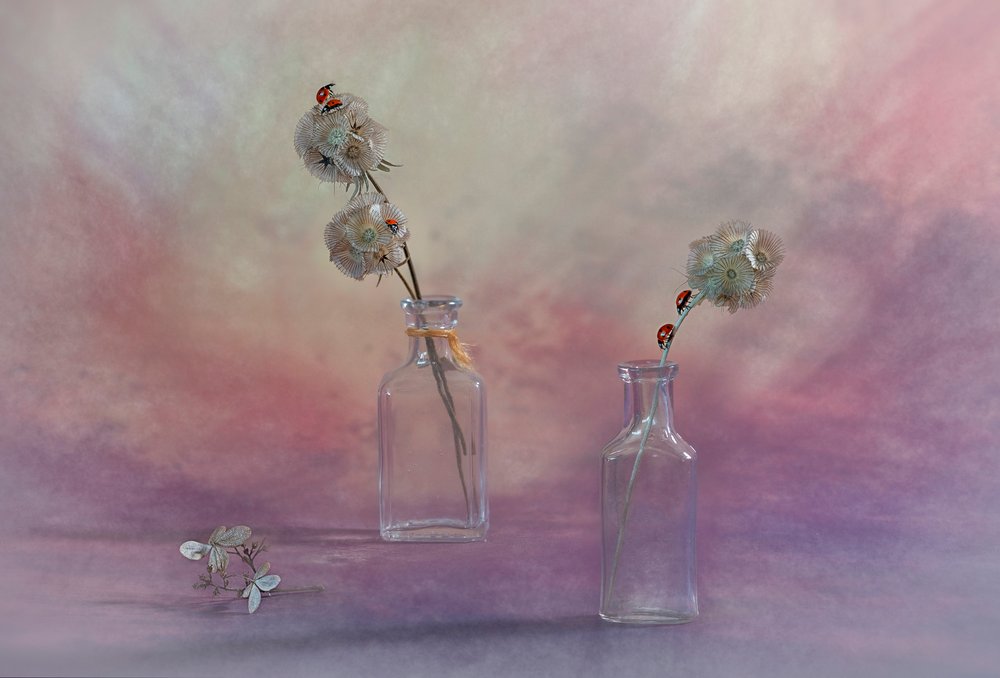 Dreamy Ladybug Still Life by Lydia Jacobs