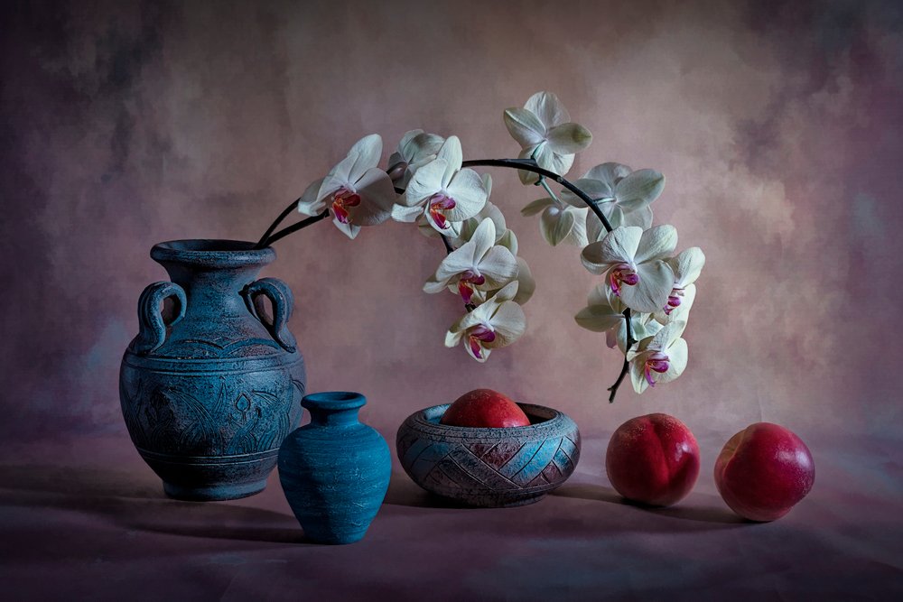 Elegant Orchid Still Life by Lydia Jacobs