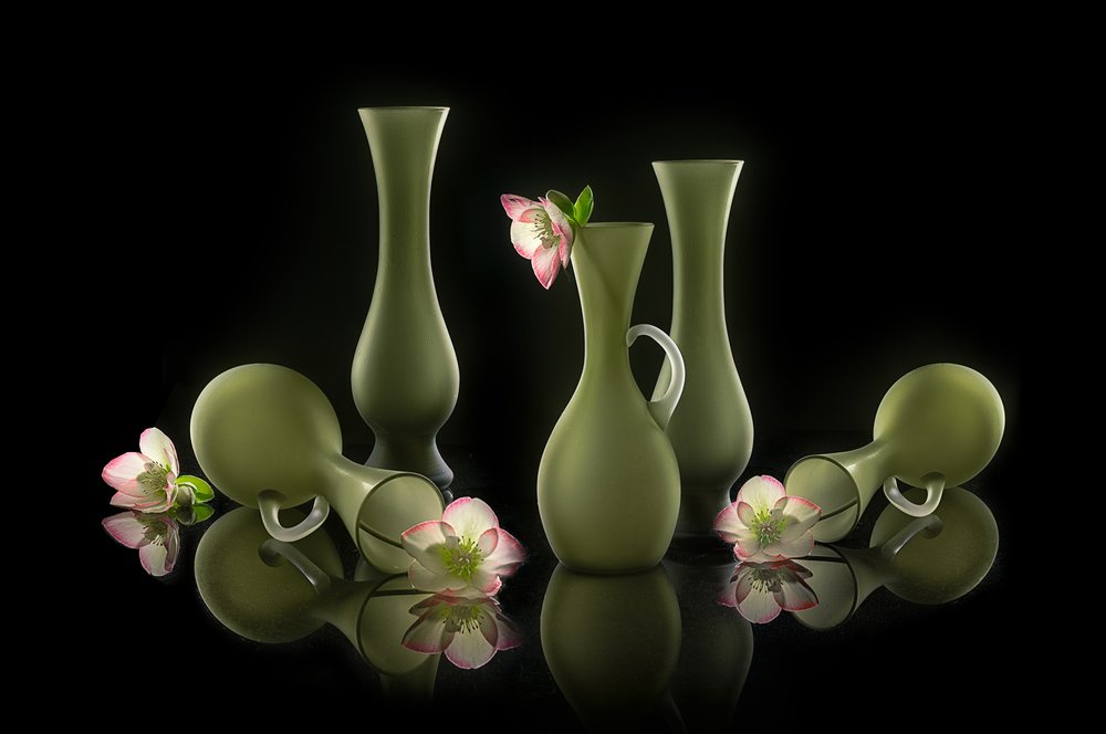 Elegant Vases and Blooms by Lydia Jacobs