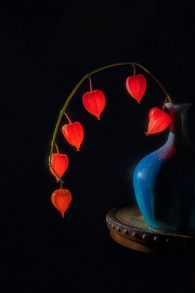 Glowing Lanterns Still Life by Lydia Jacobs
