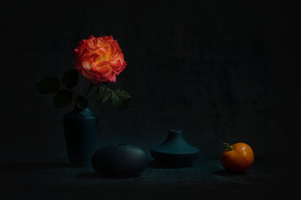 Glowing Orange Rose by Lydia Jacobs