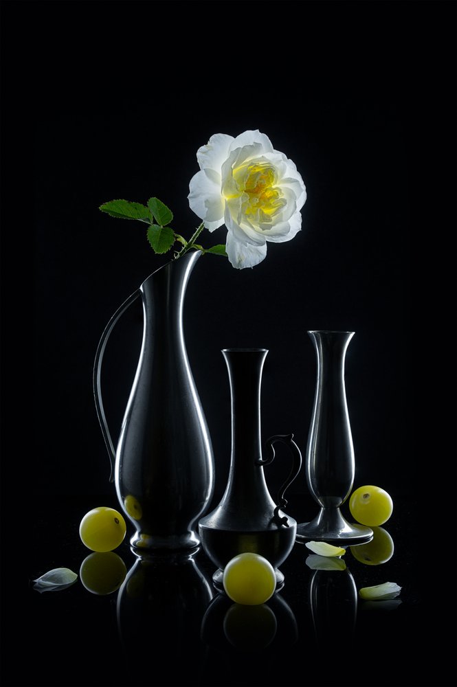 Luminous Rose and Vases by Lydia Jacobs