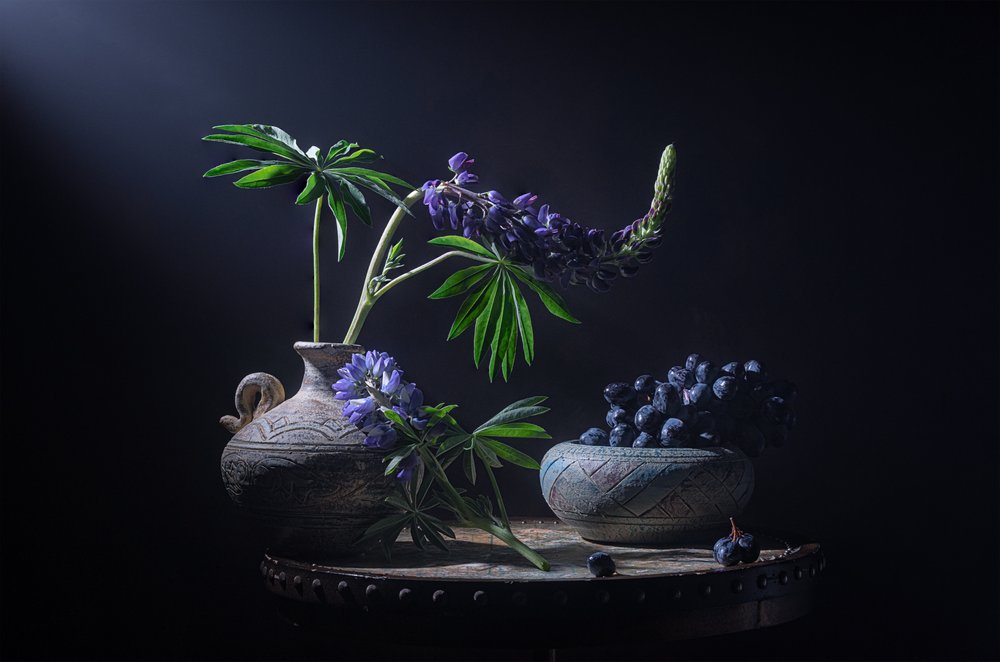 Moody Lupines and Berries by Lydia Jacobs