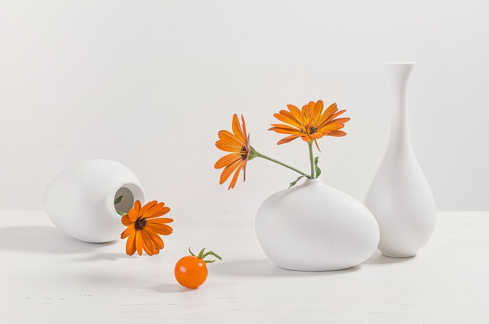 Orange Flowers Modern Still Life by Lydia Jacobs