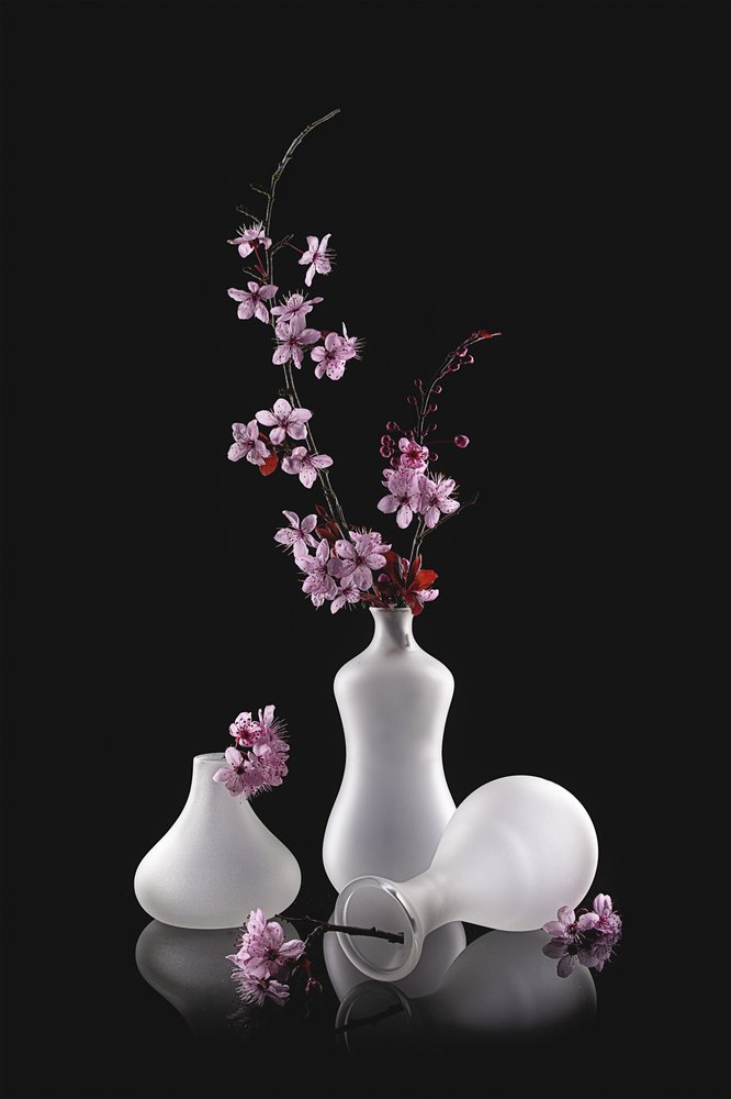 Pink Blossoms Frosted Vases by Lydia Jacobs