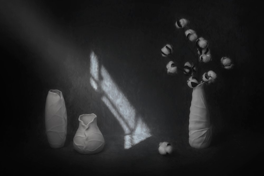 Serene Cotton Still Life by Lydia Jacobs