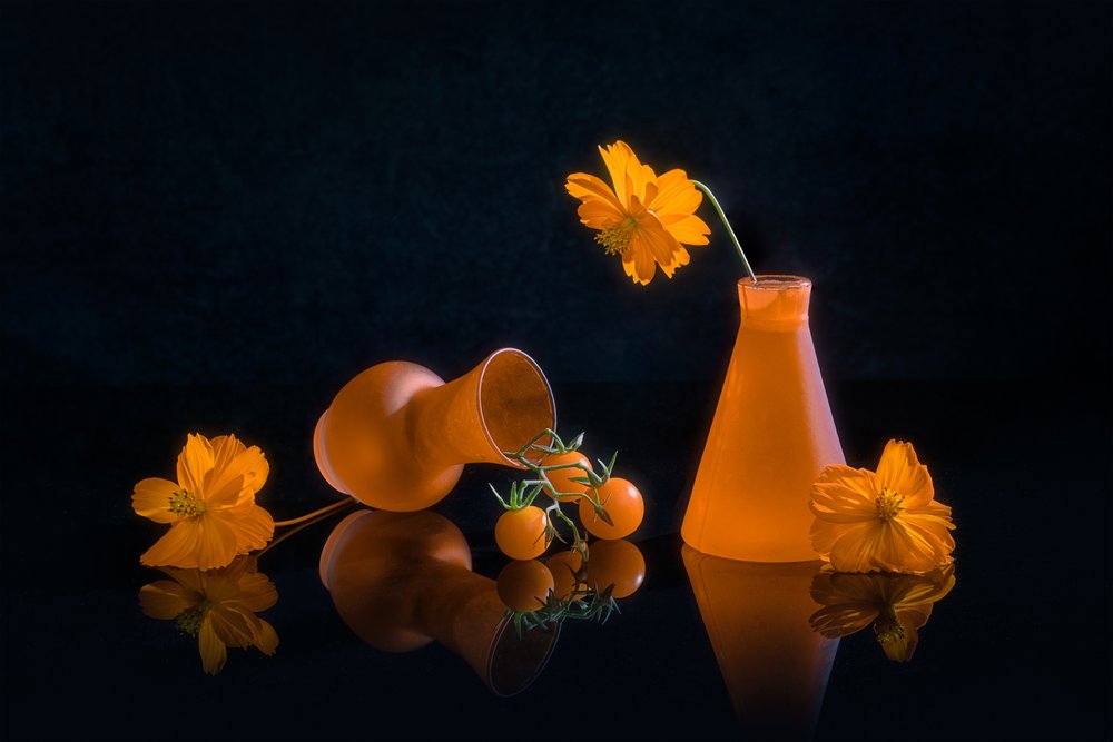 Vibrant Orange Still Life by Lydia Jacobs