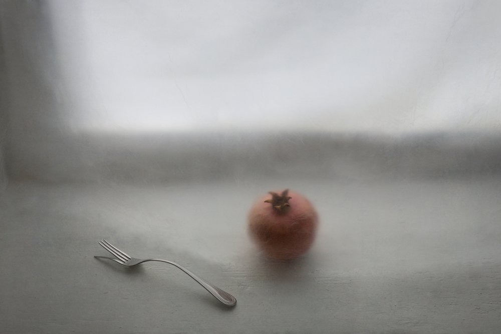 Soft Pomegranate Still Life by Lysenko Elena