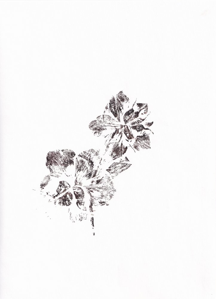 Abstract Floral Imprints by Maira Ribena