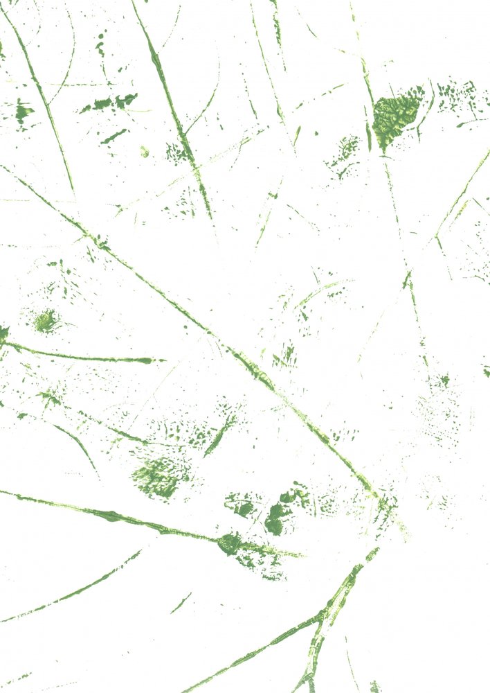 Abstract Green Lines by Maira Ribena