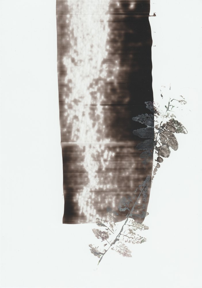 Dark Botanical Stroke by Maira Ribena