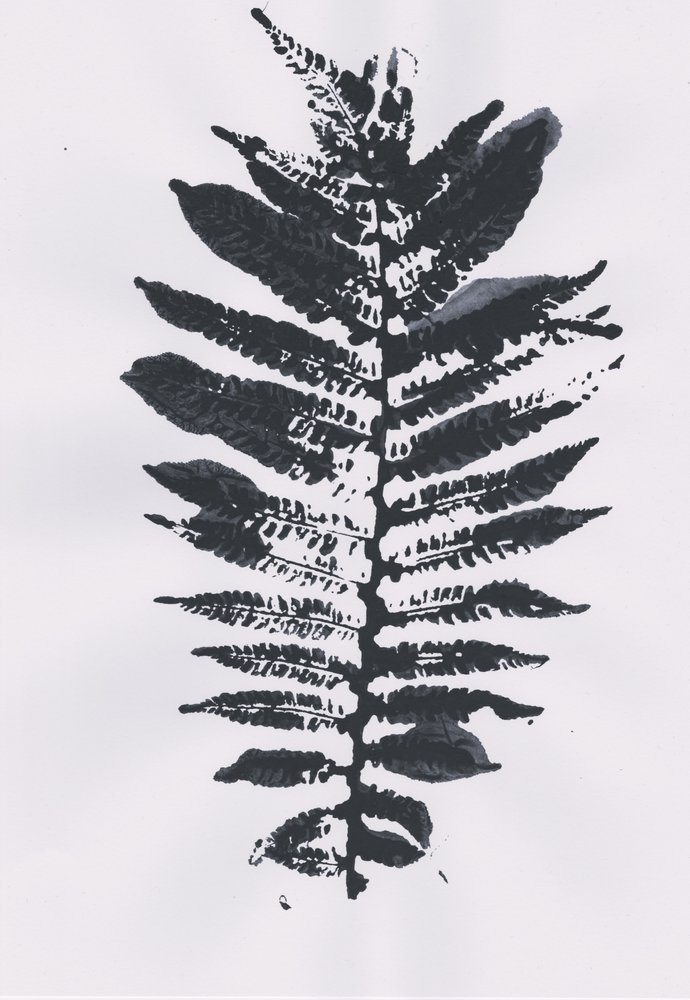 Elegant Fern Leaf by Maira Ribena