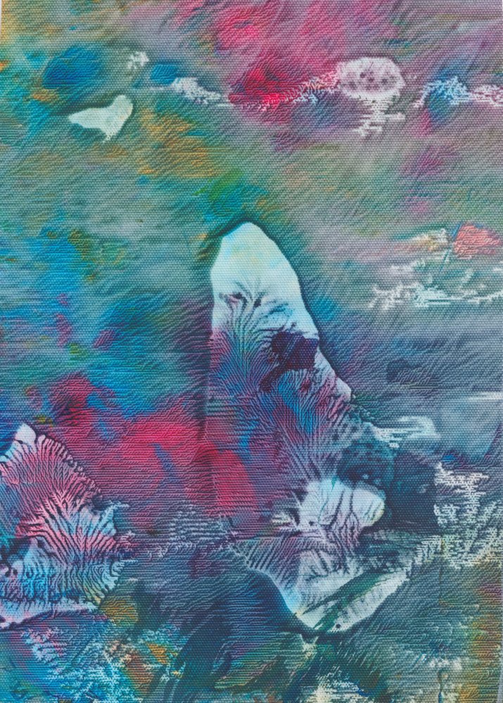 Fluid Abstract Colors by Maira Ribena