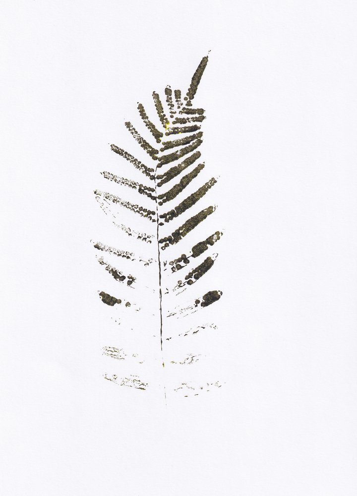 Minimalist Fern Leaf Print by Maira Ribena