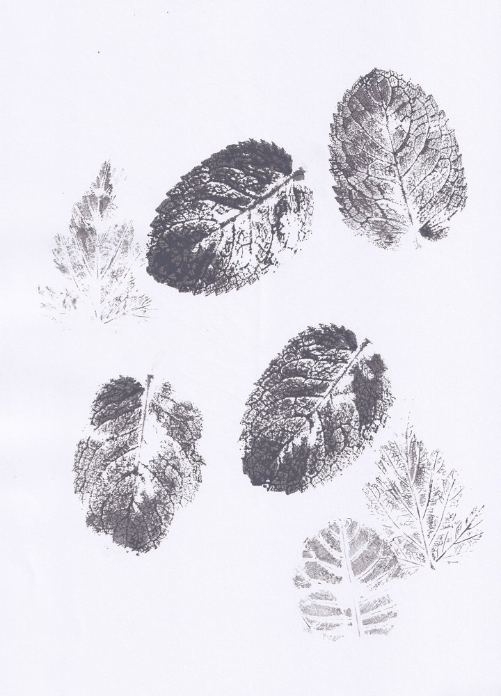 Mint Leaf Imprints by Maira Ribena