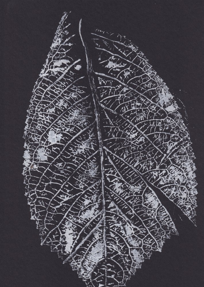 Monochrome Leaf Pattern by Maira Ribena