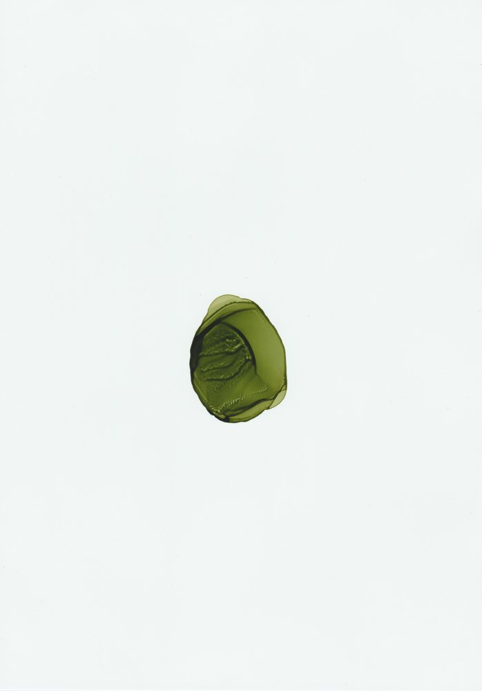 Organic Green Fluid by Maira Ribena
