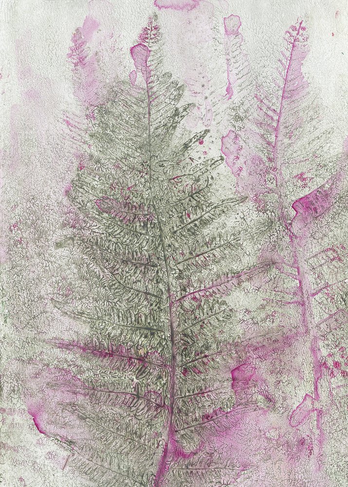 Pink Fern Impressions by Maira Ribena