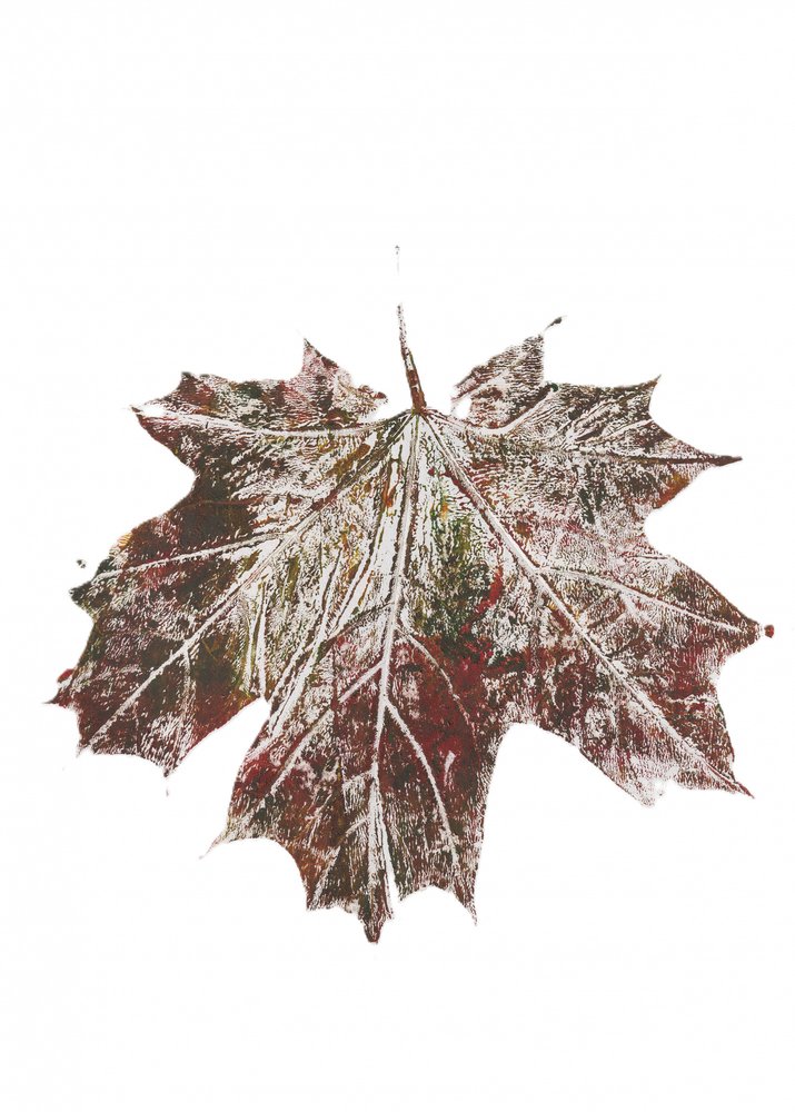 Rustic Autumn Maple Leaf by Maira Ribena