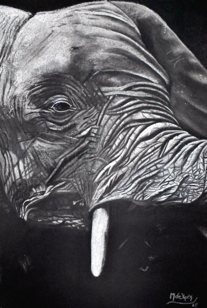 Majestic Elephant Portrait by Marchelle de Kock