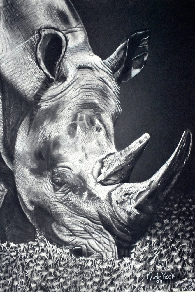 Powerful Rhino Grazing by Marchelle de Kock