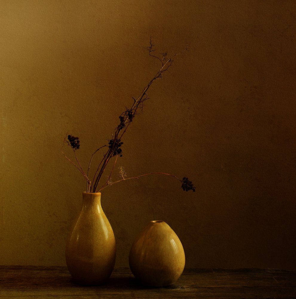 Earthy Vases Dried Branches by Margaret Halaby
