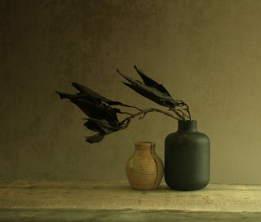 Minimalist Leaves Still Life by Margaret Halaby