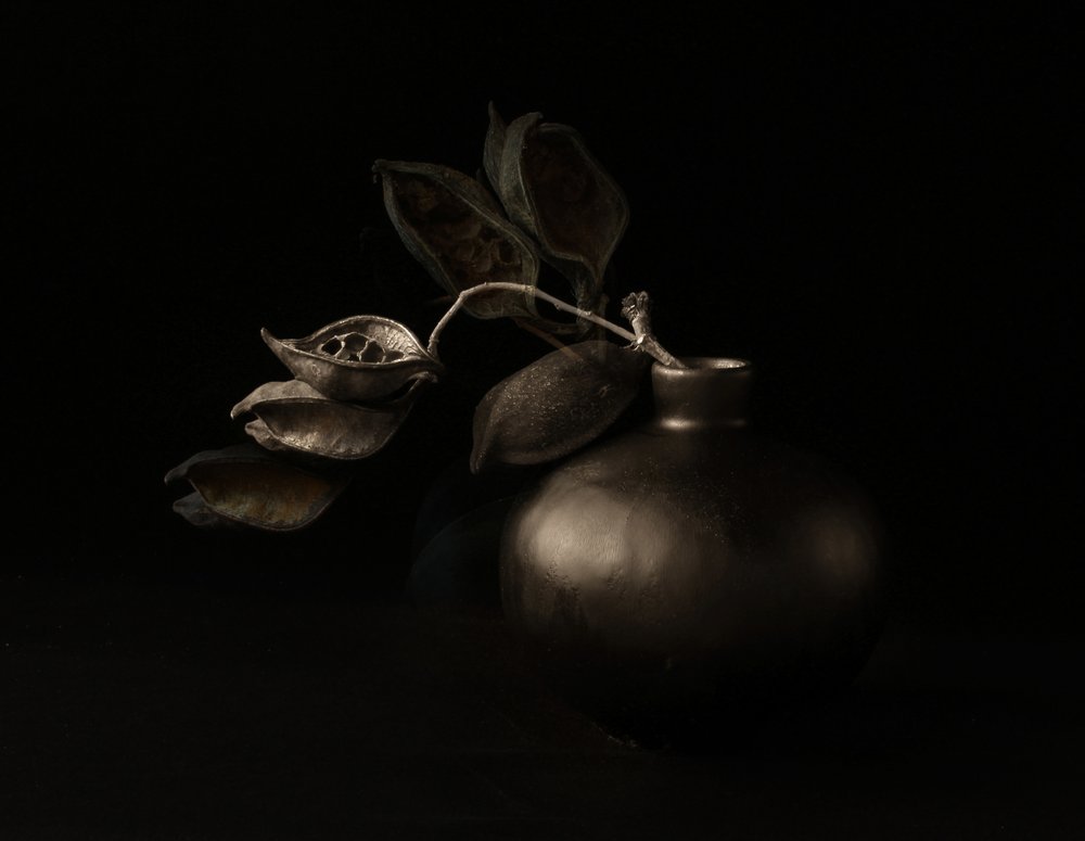 Moody Seed Pods by Margaret Halaby