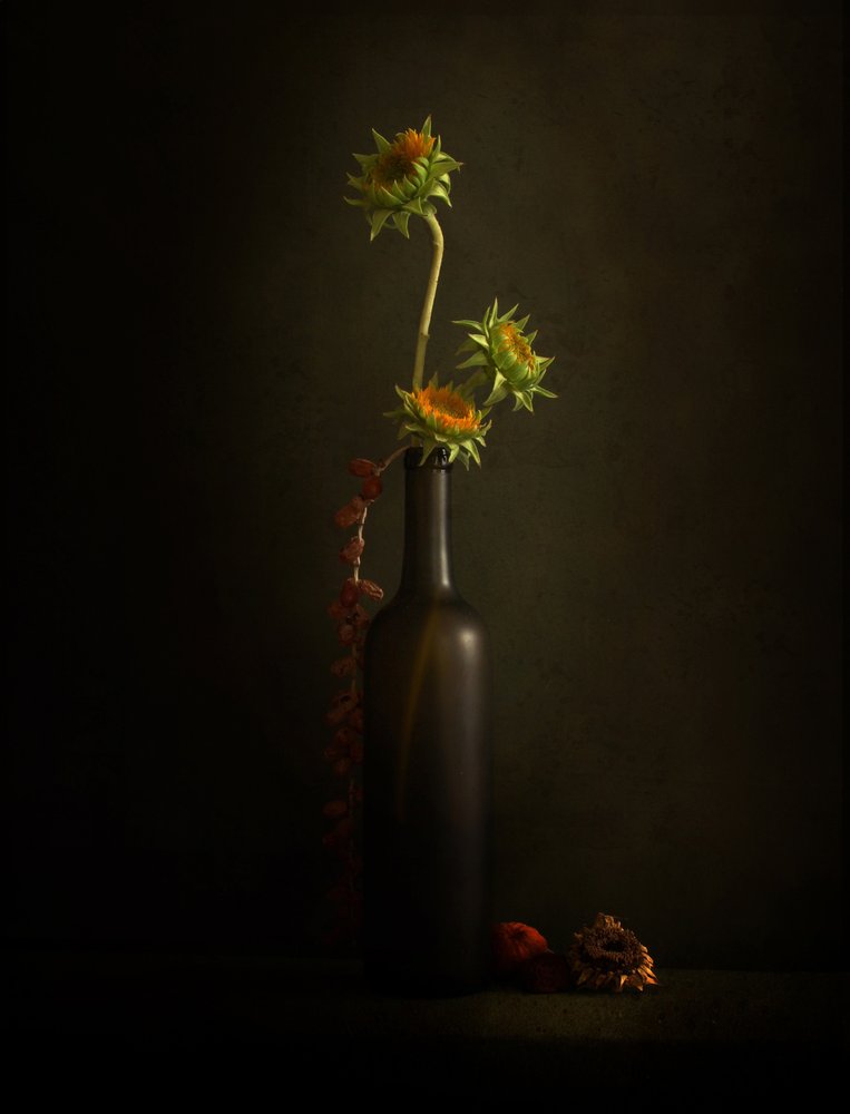 Moody Sunflower Still Life by Margaret Halaby