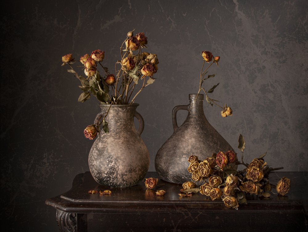 Dried Roses Still Life by Margareth Perfoncio