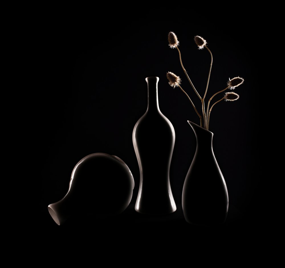 Elegant Still Life Silhouettes by Margareth Perfoncio