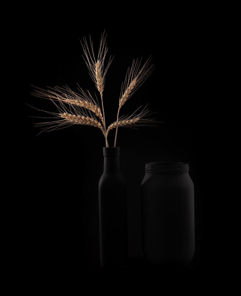 Golden Wheat Still Life by Margareth Perfoncio