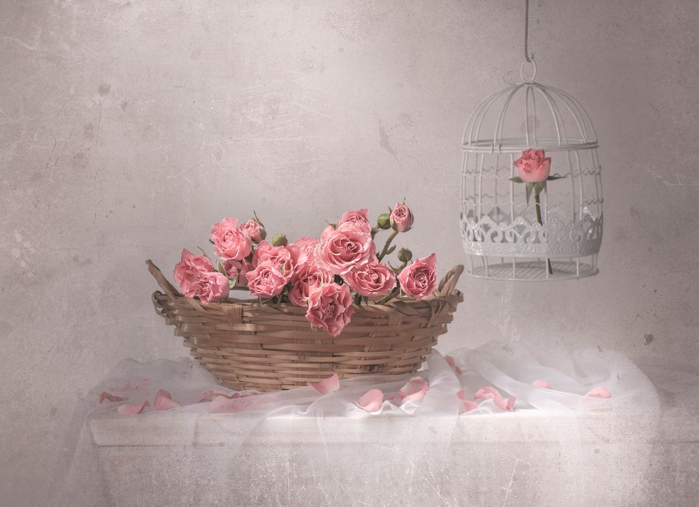 Pink Roses And Birdcage by Margareth Perfoncio