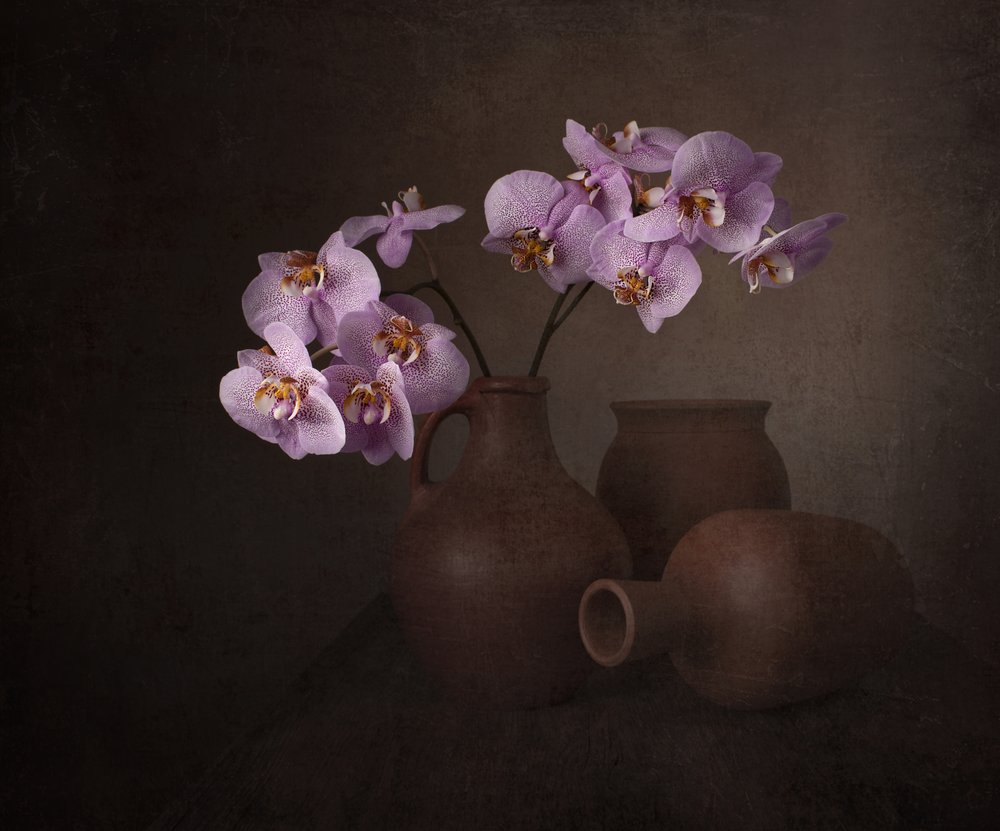 Purple Orchid Still Life by Margareth Perfoncio