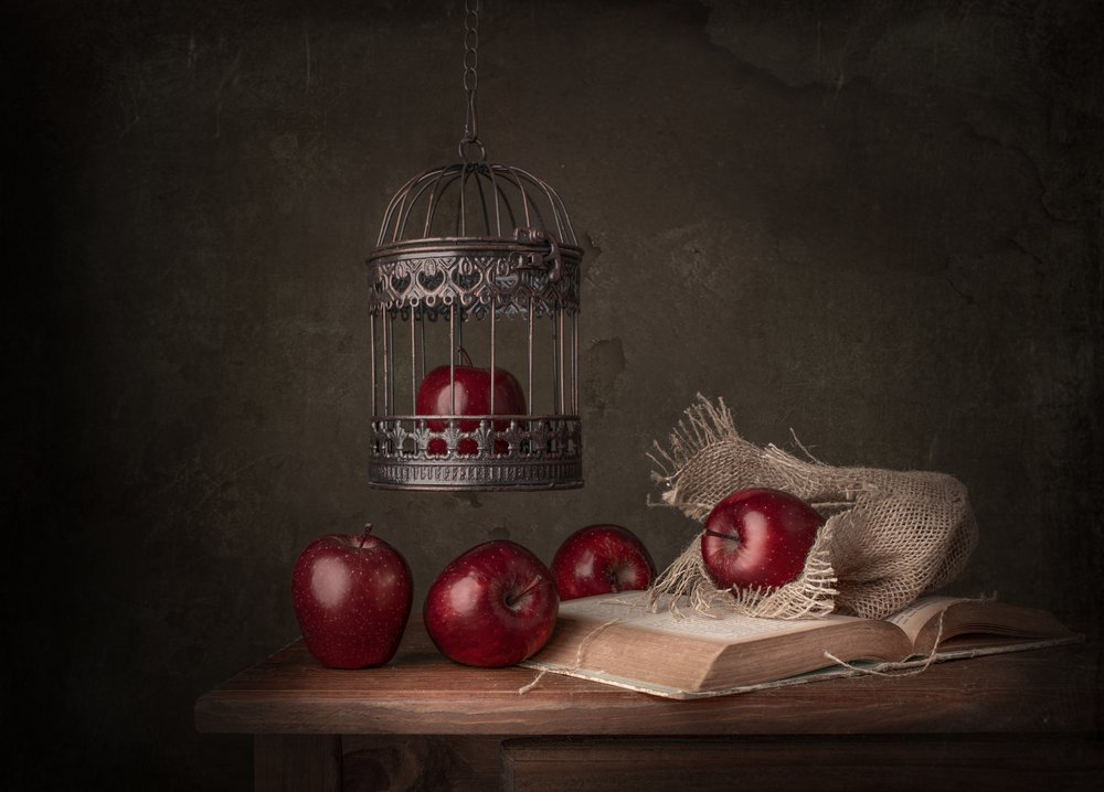 Rustic Apples And Book by Margareth Perfoncio