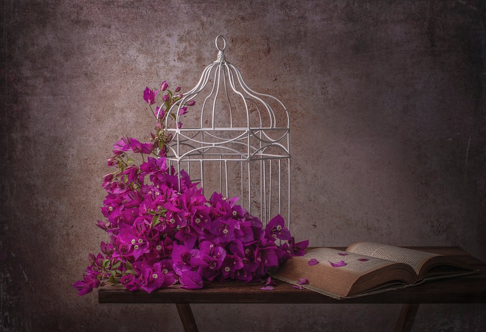 Rustic Bougainvillea and Book by Margareth Perfoncio