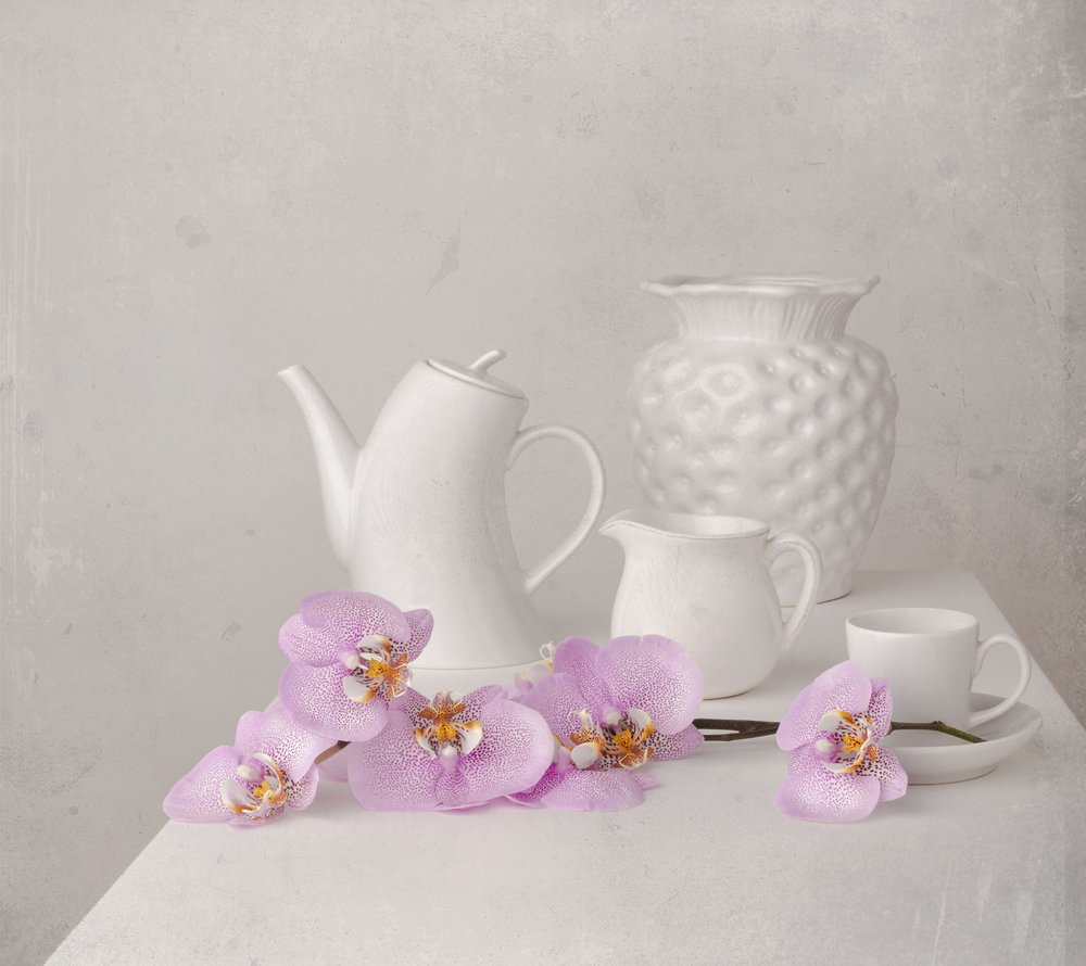 White Orchid Still Life by Margareth Perfoncio