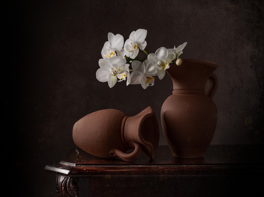 White Orchids Still Life by Margareth Perfoncio