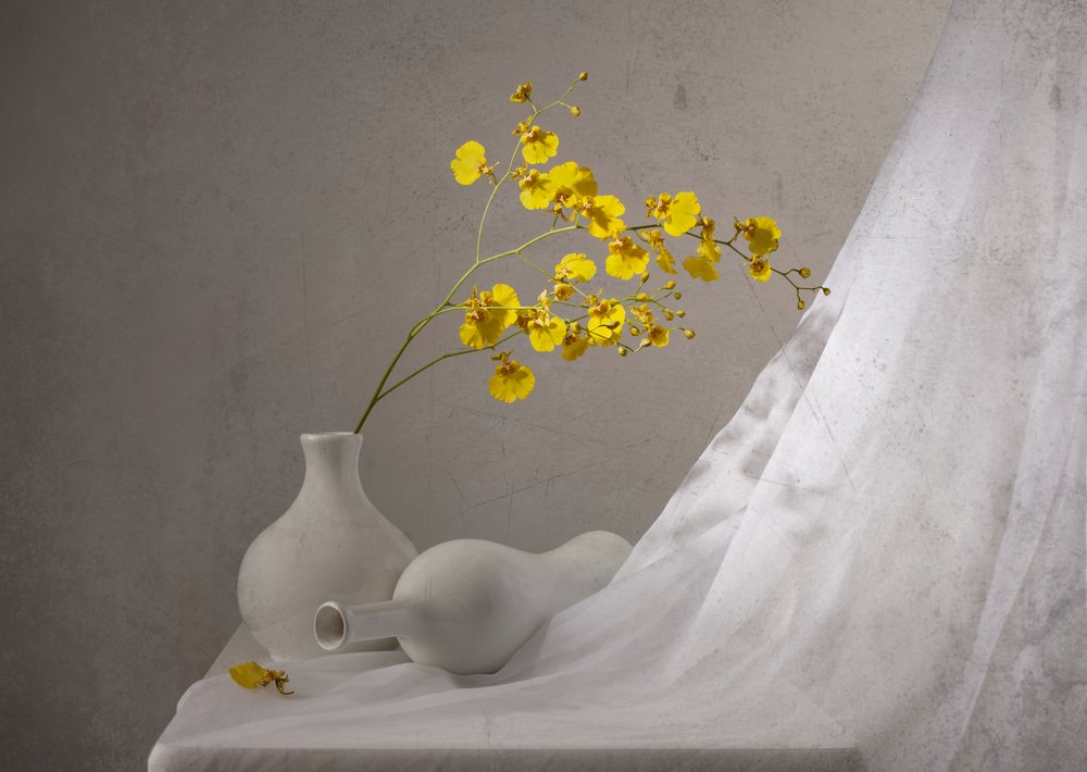 Yellow Orchids Still Life by Margareth Perfoncio