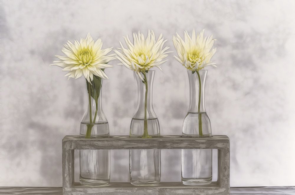 Dahlias In Glass Vases by Marie-anne Stas